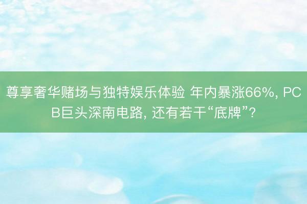 尊享奢华赌场与独特娱乐体验 年内暴涨66%， PCB巨头深南电路， 还有若干“底牌”?