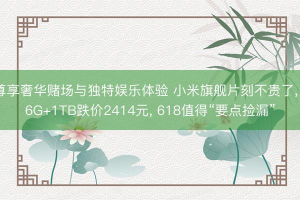 尊享奢华赌场与独特娱乐体验 小米旗舰片刻不贵了, 16G+1TB跌价2414元, 618值得“要点捡漏”