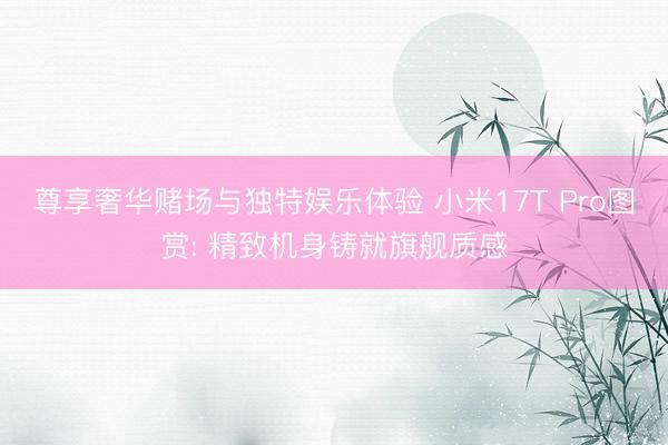尊享奢华赌场与独特娱乐体验 小米17T Pro图赏: 精致机身铸就旗舰质感