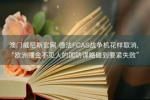 澳门威尼斯官网 德法FCAS战争机花样取消, “欧洲攫金不见人的国防谋略碰到要紧失败”